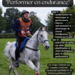 Stage Endurance avec Allan Léon